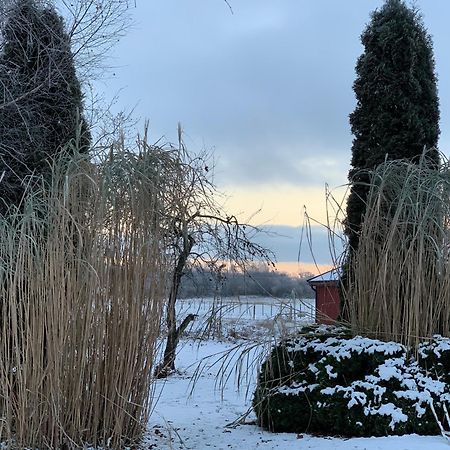 Villa Maria Garden Cottages, Helsingborg Kültér fotó