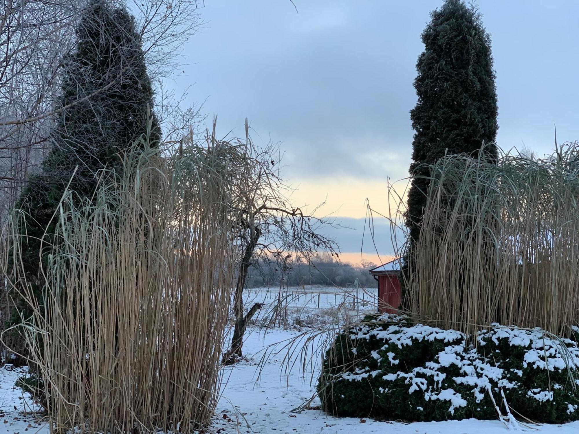 Villa Maria Garden Cottages, Helsingborg Kültér fotó