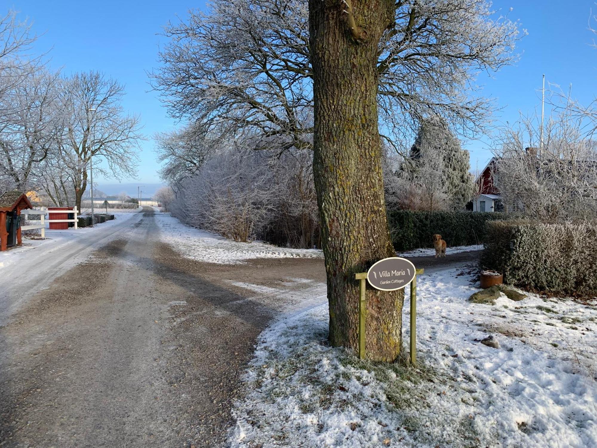 Villa Maria Garden Cottages, Helsingborg Kültér fotó