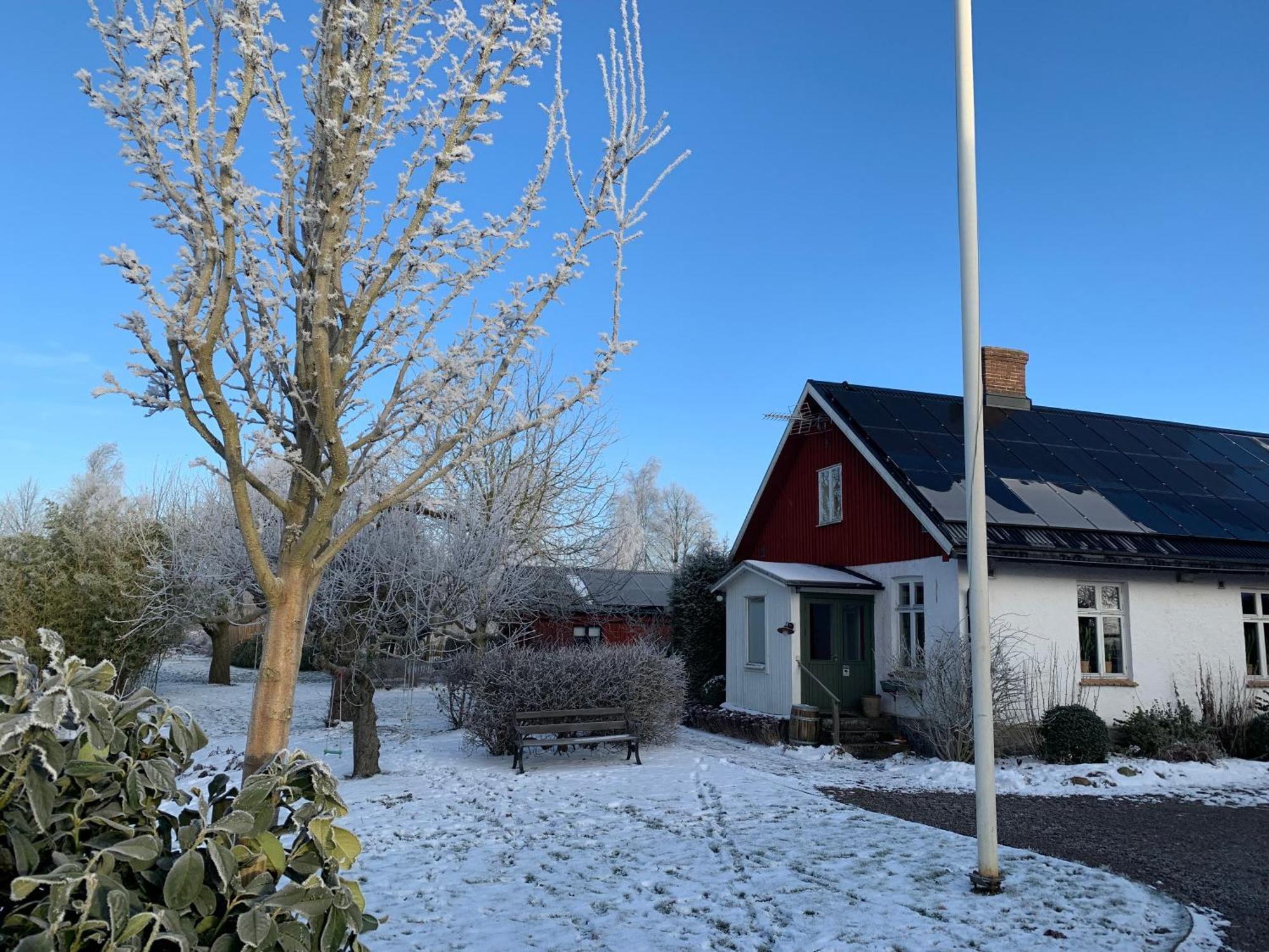 Villa Maria Garden Cottages, Helsingborg Kültér fotó